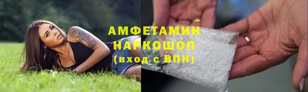 мет Дмитров