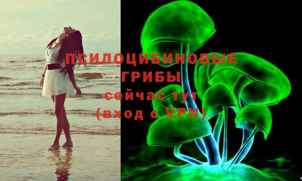 ECSTASY Няндома