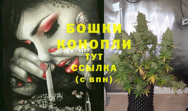 ECSTASY Няндома