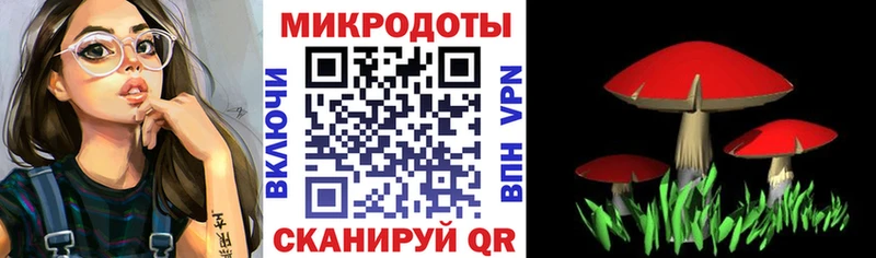 Псилоцибиновые грибы Cubensis  Бирюч 